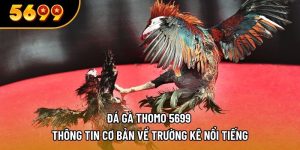 đá gà thomo